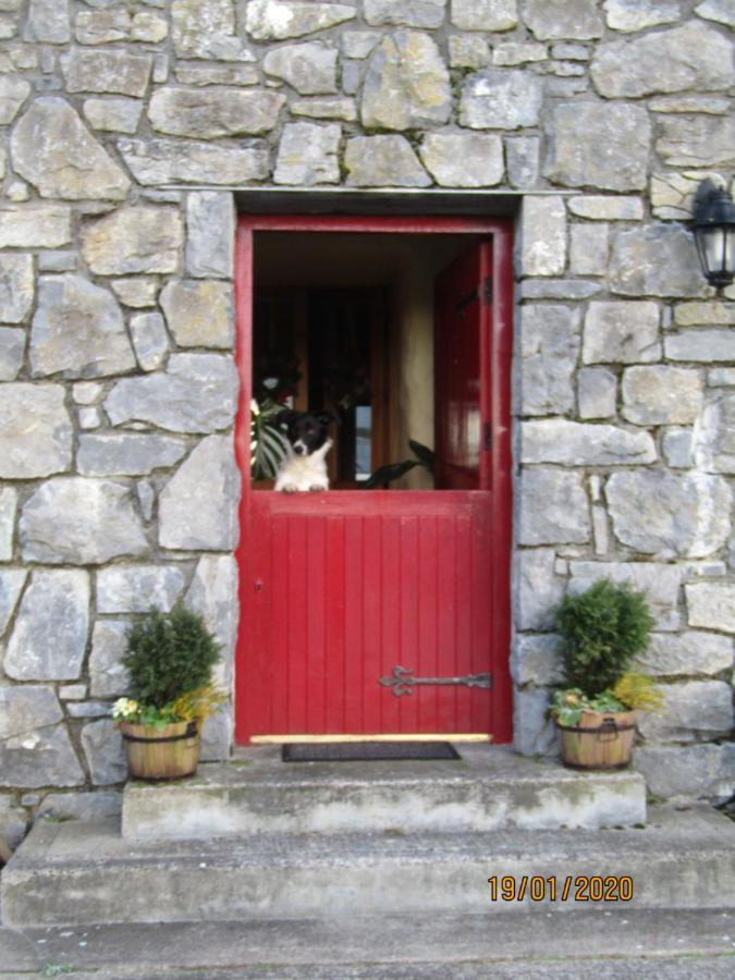 كلير جالاوي The Thatched Cottage B&B المظهر الخارجي الصورة